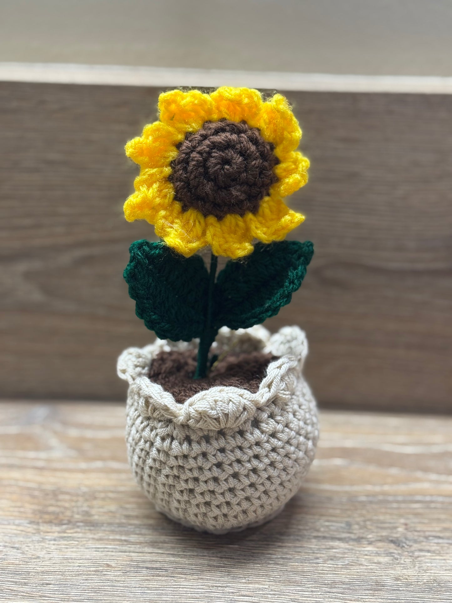 Sunflower Pot
