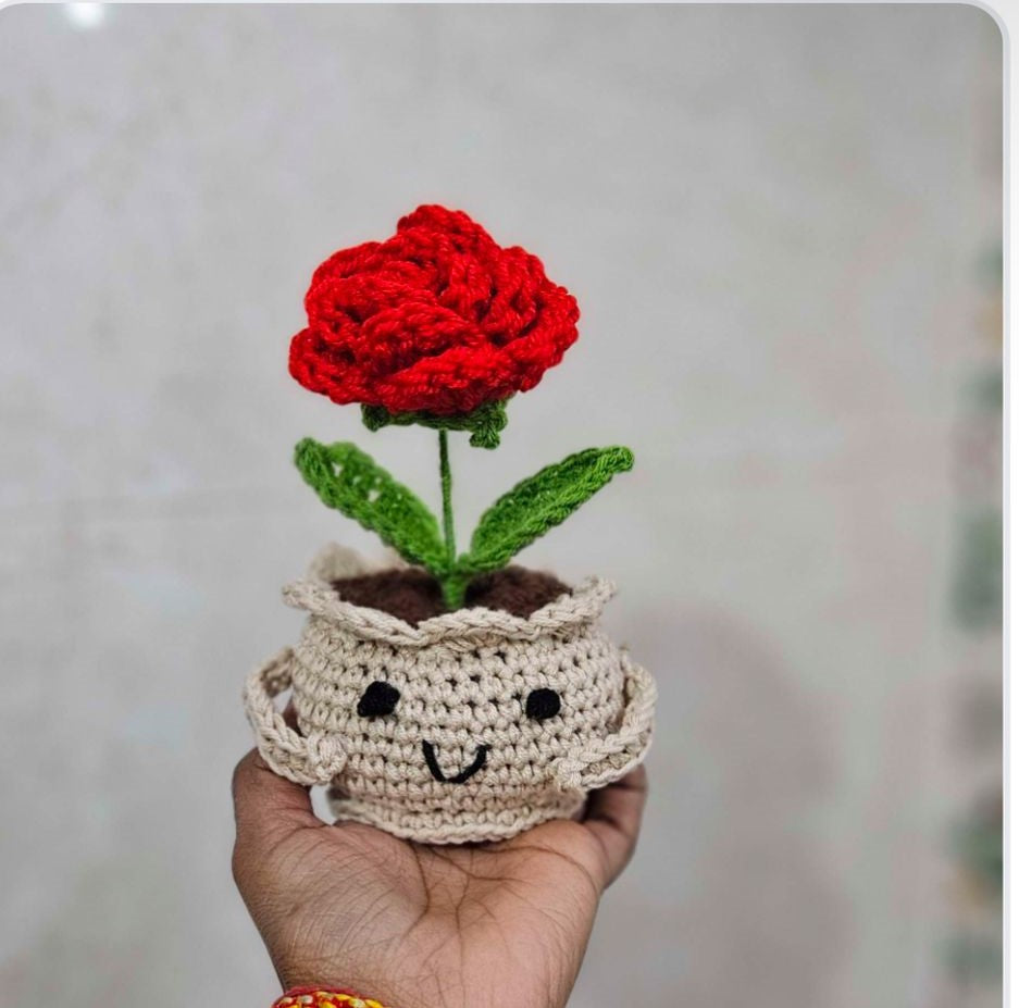 Knot a Rose Pot