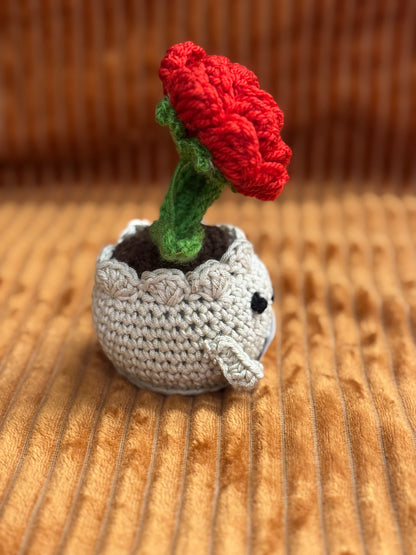 Knot a Rose Pot