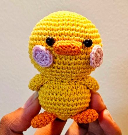 Quack Pack – Duck Toy