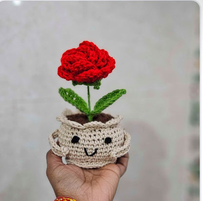 Knot a Rose Pot