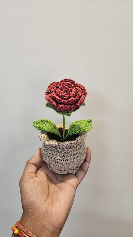Knot a Rose Pot